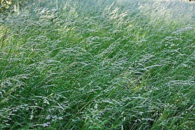 《战地2042》第一赛季2022年开启 抢先体验明日下午4点解锁